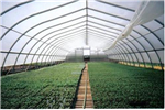  建川解析四川溫室大棚會(huì)忽視的那些問(wèn)題
