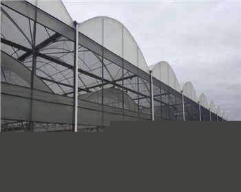 干貨：蔬菜大棚的建造方案在這里