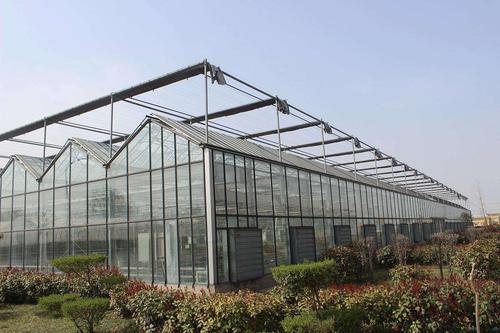 傳統(tǒng)的農(nóng)業(yè)與溫室大棚有什么區(qū)別，春季應(yīng)該如何進(jìn)行通風(fēng)管理