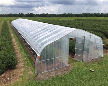 傳統(tǒng)的農(nóng)業(yè)與溫室大棚有什么區(qū)別，春季應(yīng)該如何進(jìn)行通風(fēng)管理