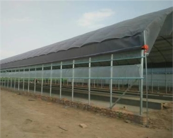 建四川養(yǎng)殖大棚用什么材料便宜且質(zhì)量好？