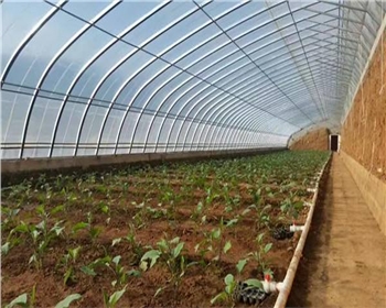 四川溫室大棚的分類有這些！