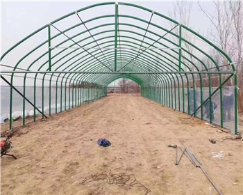 四川養(yǎng)殖大棚的養(yǎng)殖方法是什么？