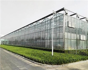 四川溫室大棚種植有哪些優(yōu)點(diǎn)是你還不知道的？