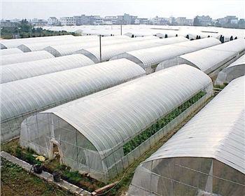 一起來看看四川蔬菜大棚種植知識，這七點你必須知道！