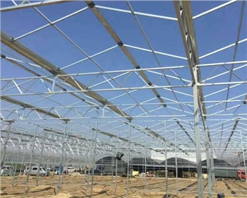 在四川大棚種植蔬菜應(yīng)該注意什么？