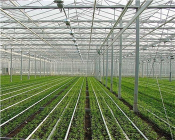 在四川溫室大棚內(nèi)的光照控制和調(diào)節(jié)如何實(shí)現(xiàn)？